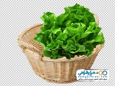 دانلود تصویر png کاهو در سبد حصیری