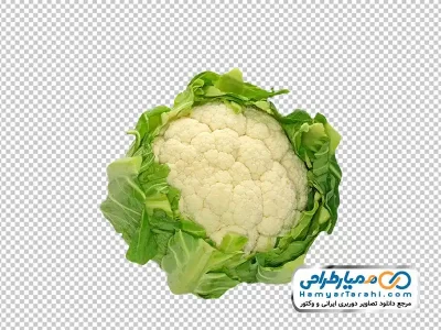 عکس png گل کلم