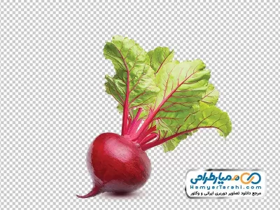دانلود تصویر png چغندر قرمز