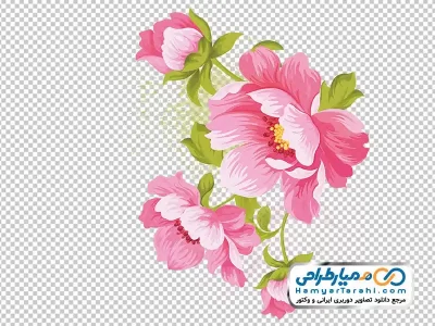 عکس با کیفیت گل های صورتی با فرمت png