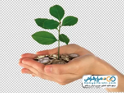 تصویر png سکه با نهال درخت در دست