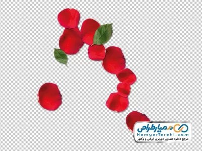 تصویر png گلبرگ قرمز