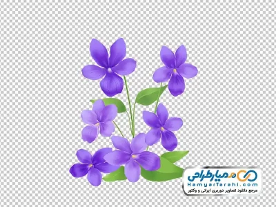 دانلود تصویر وکتوری گل ویولت