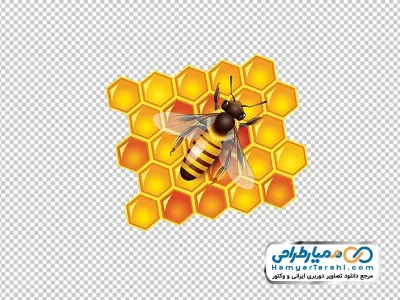 دانلود تصویر وکتوری زنبور عسل روی موم