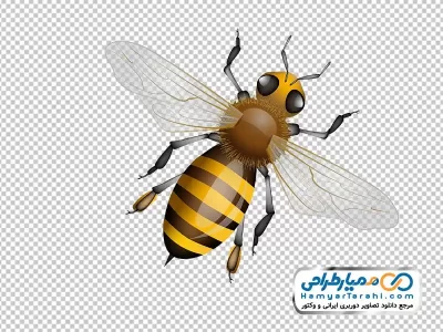 عکس png زنبور عسل