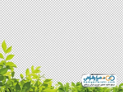 دانلود تصویر برگ درخت با فرمت png