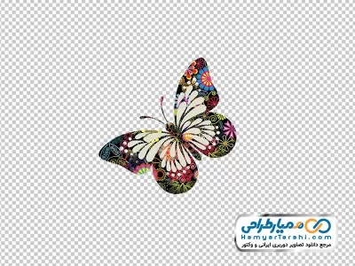 دانلود نقاشی پروانه رنگی با فرمت png