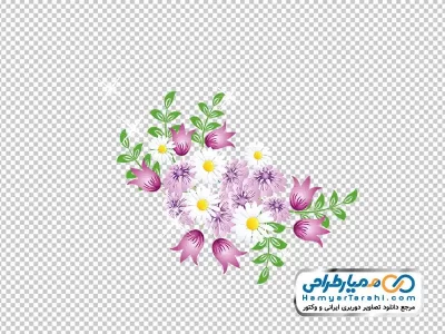 دانلود عکس وکتوری گل های سفید و صورتی