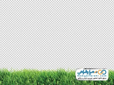 تصویر png چمن طبیعی