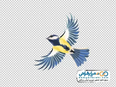 عکس نقاشی پرنده تیت با رنگ های زرد و آبی