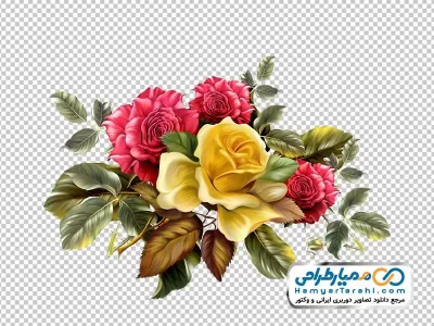 تصویر وکتوری گل های رز قرمز و زرد با فرمت png