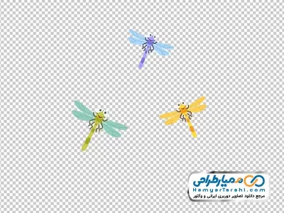 تصویر وکتوری سنجاقک با فرمت png