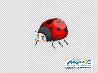 عکس با کیفیت کفشدوزک