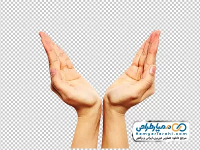 دانلود تصویر با کیفیت دو دست رو به بالا