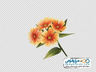 عکس وکتوری شاخه گل نارنجی