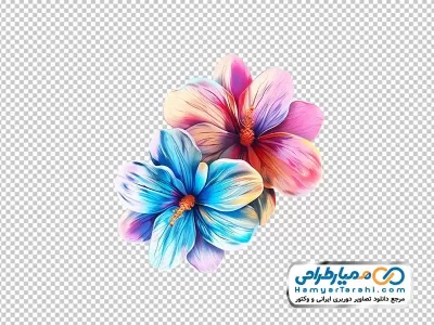 دانلود تصویر png گل های صورتی و آبی آبرنگی