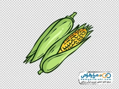 دانلود تصویر وکتوری ذرت
