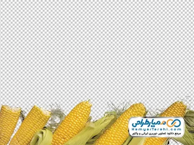 عکس png ذرت