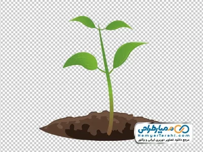 دانلود عکس png نهال گل