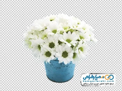 دانلود تصویر png گلدان با گل های سفید