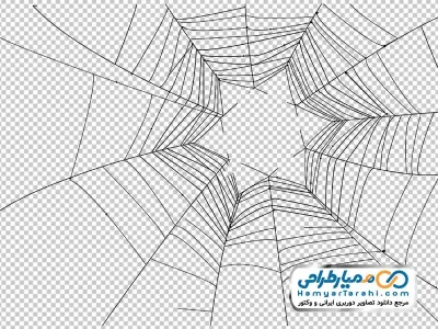 عکس وکتوری تار عنکبوت با طرح ستاره داوود