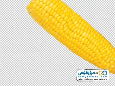 دانلود تصویر با کیفیت ذرت بدون پوست