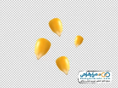 دانلود عکس png دانه های ذرت