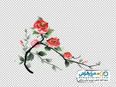 نقاشی وکتوری شاخه گل رز با فرمت png