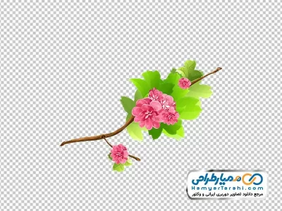 دانلود تصویر png شاخه گل های بهاری