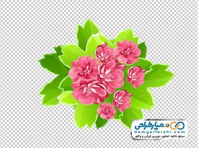 عکس png گل های بهاری با برگ های سبز