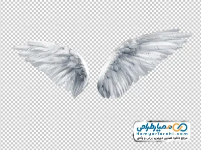 تصویر با کیفیت بال با فرمت png