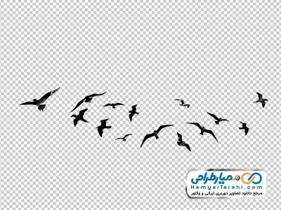 دانلود عکس وکتوری کبوتران در حال پرواز