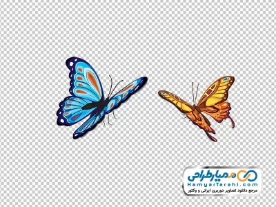 دانلود تصویر وکتوری پروانه با فرمت png