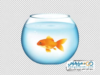 تصویر با کیفیت تنگ ماهی قرمز با فرمت png