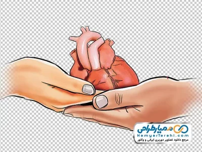 دانلود تصویر وکتوری دست در حال اهدای قلب