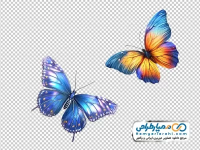 دانلود تصویر با کیفیت پروانه خوشرنگ و زیبا