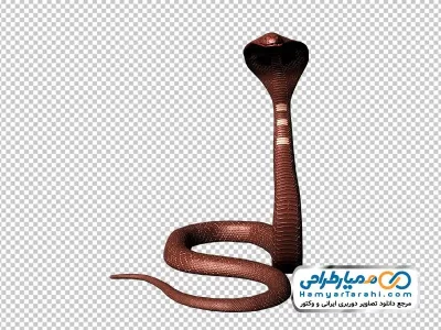 تصویر png مار کبری