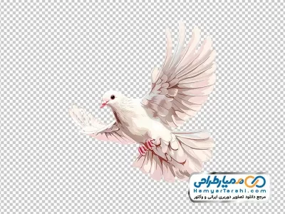 نقاشی کبوتر سفید با فرمت png