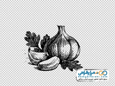 دانلود عکس وکتوری داروهای گیاهی