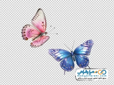 تصویر با کیفیت پروانه خوشرنگ و زیبا