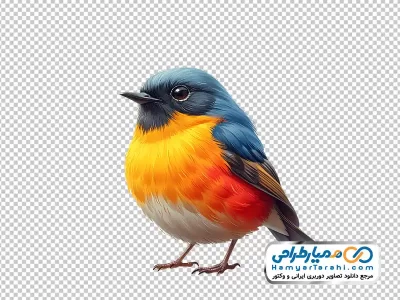 دانلود تصویر با کیفیت پرنده رنگارنگ