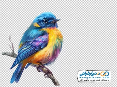 تصویر png پرنده رنگارنگ نشسته روی شاخه