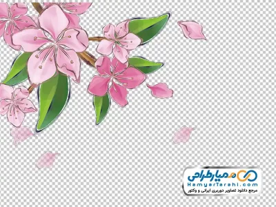 نقاشی گل های بهاری