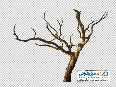 عکس درخت خشکیده با فرمت png