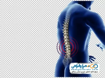 دانلود تصویر با کیفیت ستون فقرات