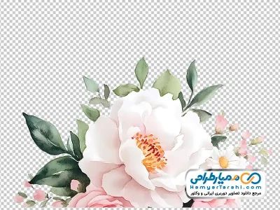 عکس وکتوری گل های آبرنگی برای حاشیه طرح با فرمت png