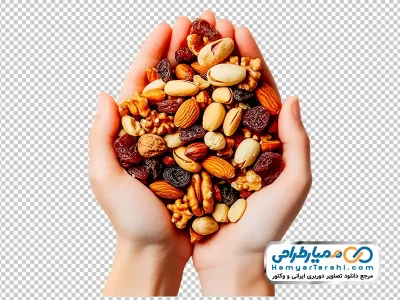 تصویر png آجیل در دست
