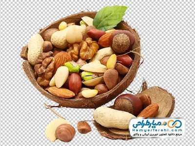 عکس png مغزیجات در پوسته نارگیل