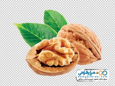 عکس با کیفیت مغز گردو با فرمت png
