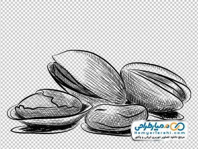 نقاشی سیاه و سفید پسته با فرمت png